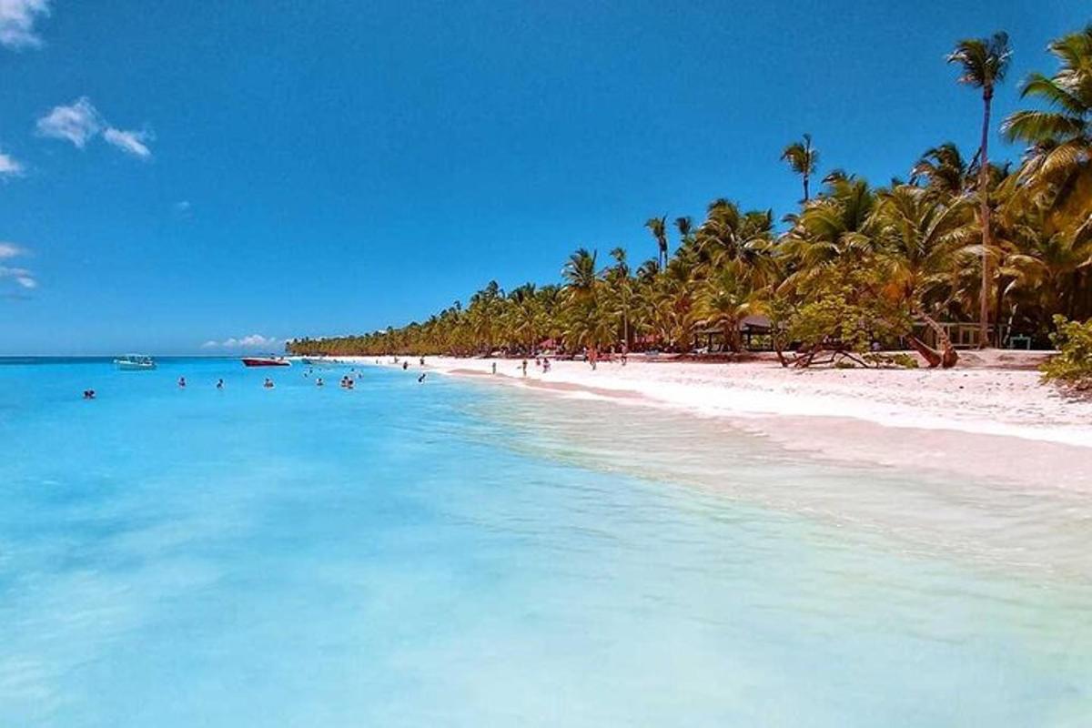 una spiaggia con palme e persone in acqua