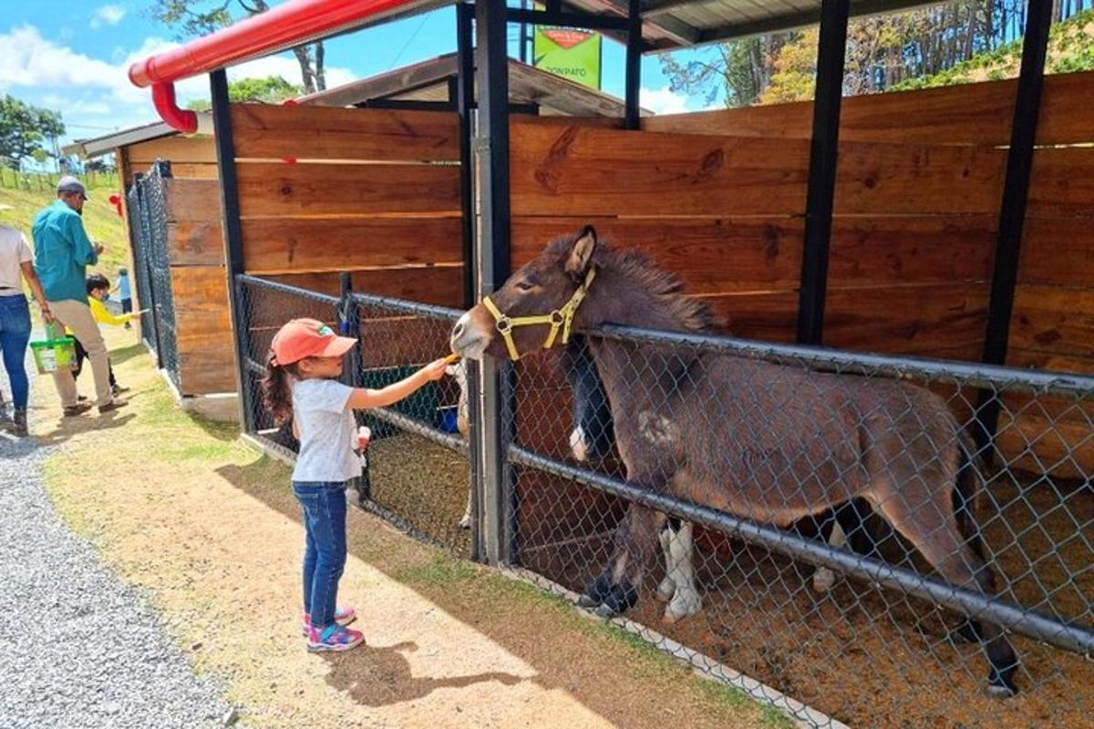 a little girl petting a horse behind a fence