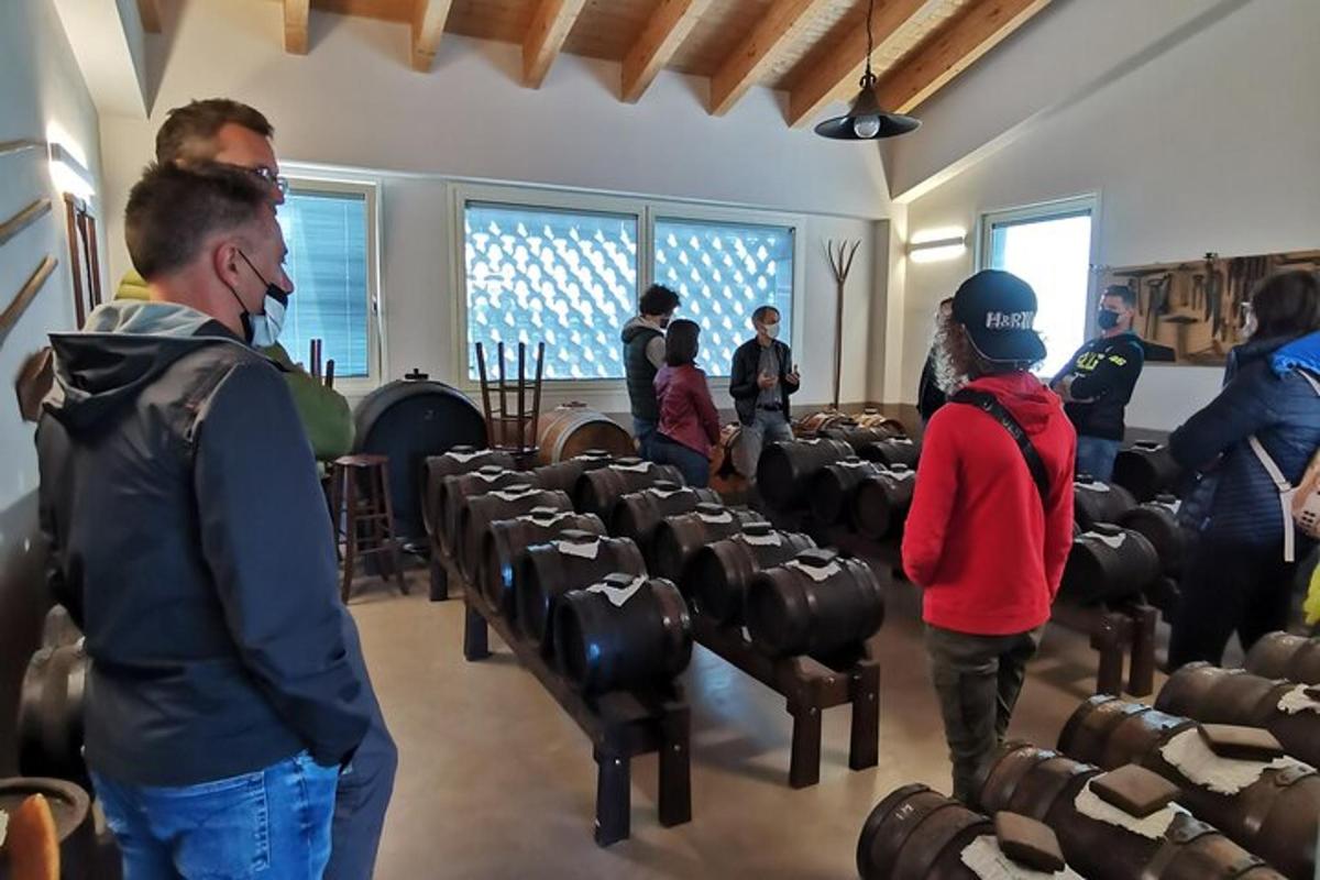 un grup de persones dretes en una habitació amb cadires