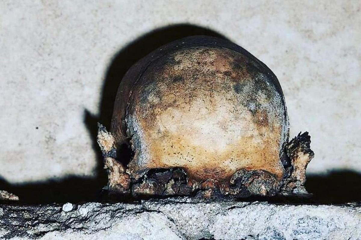 un cap mort assegut a terra