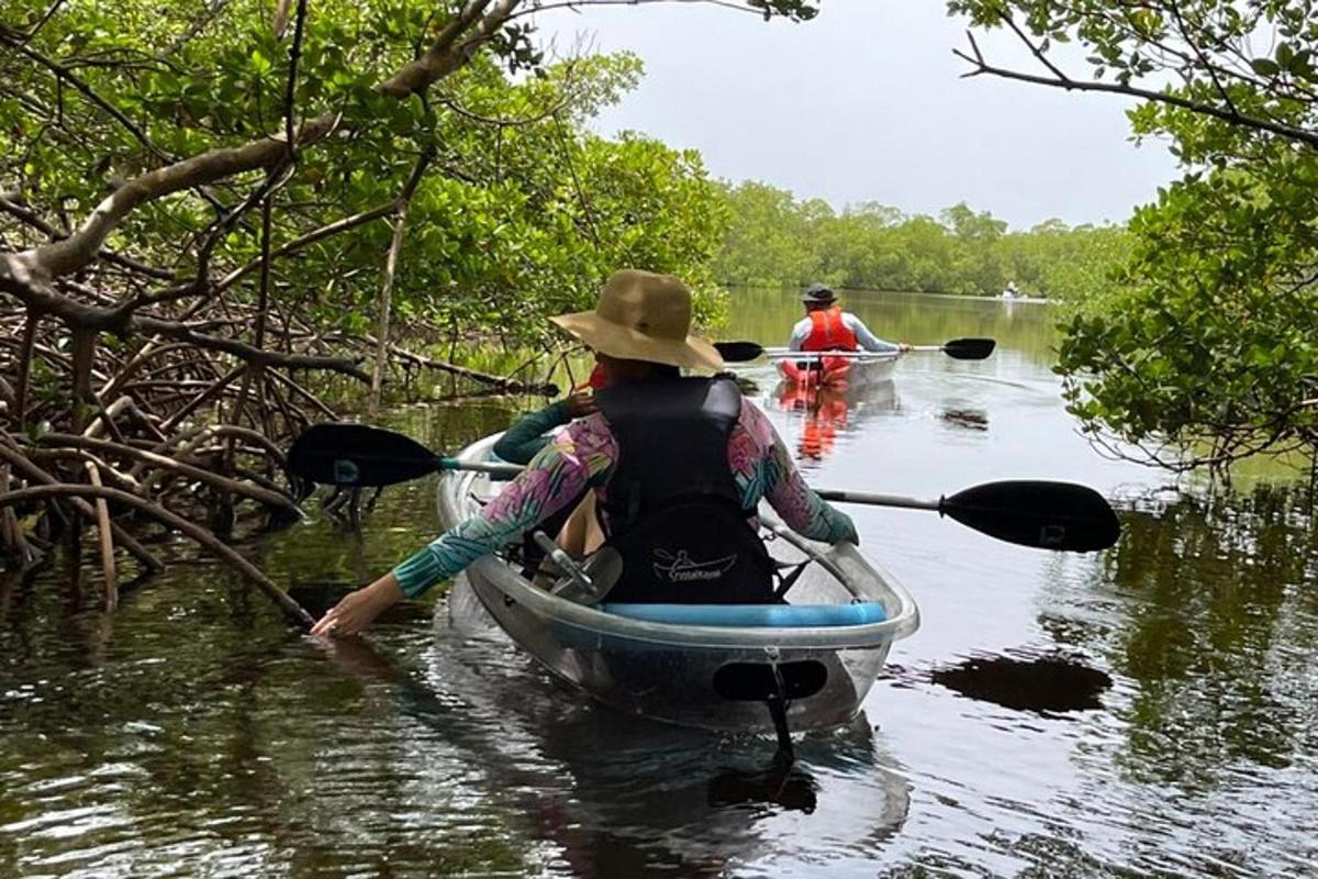 una donna sta remando una barca in un fiume