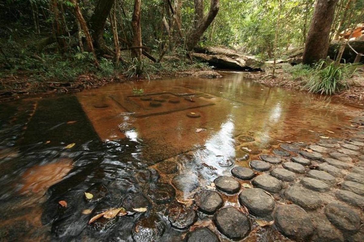 a stream of water with rocks in a forest