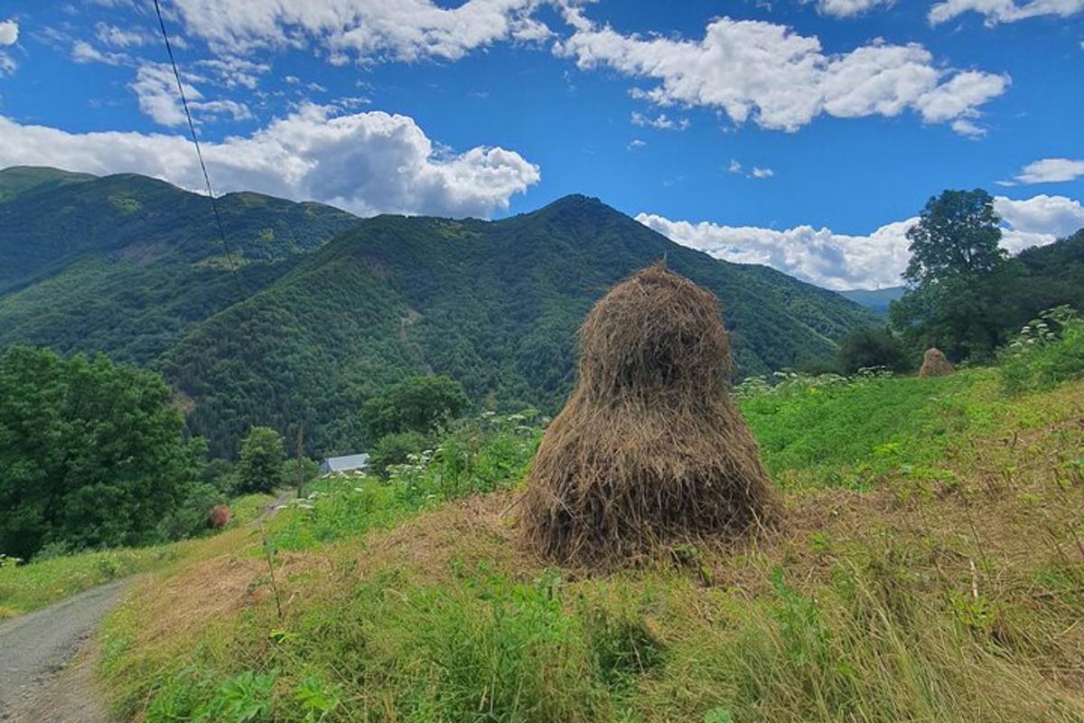 suur heinahunnik mäe küljel