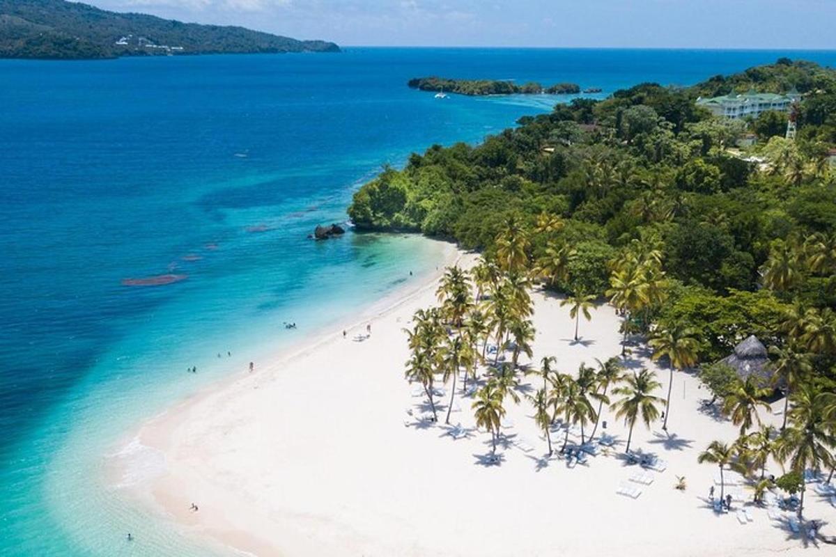 een luchtfoto van een strand met palmbomen