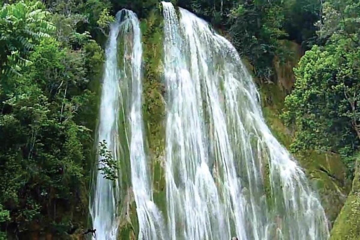 een waterval midden in een bos