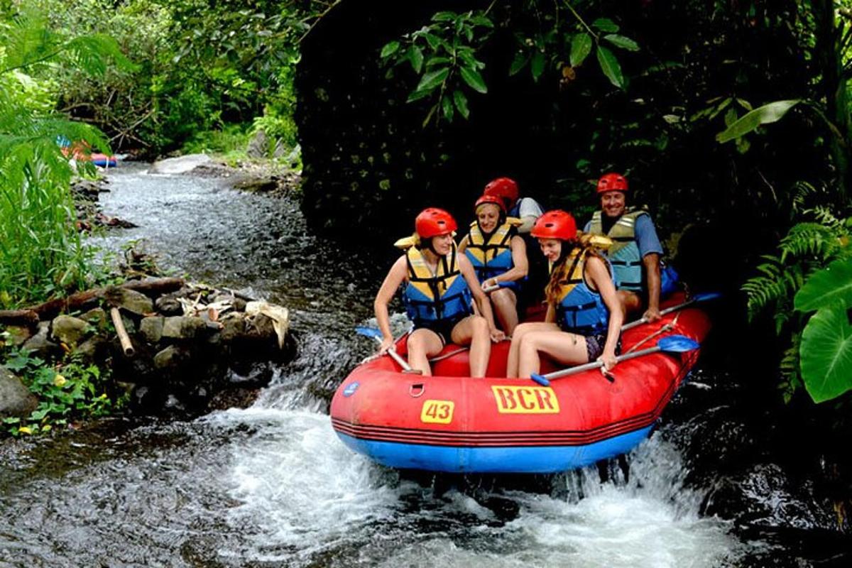 a group of people on a raft in a river