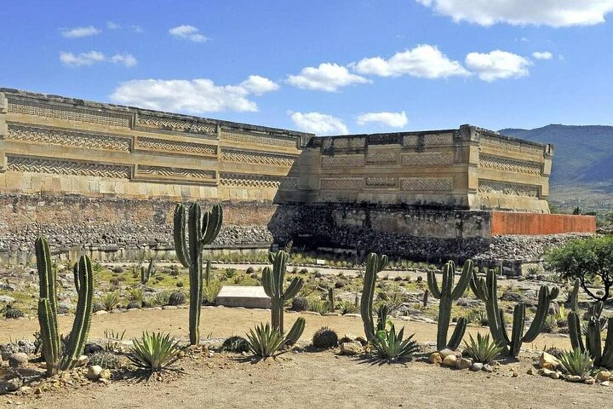 un gran edifici amb cactus al davant