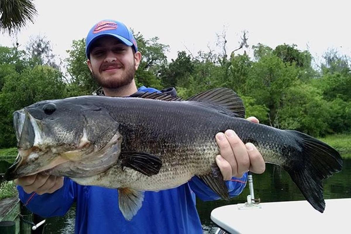 a man holding a large fish in his hand