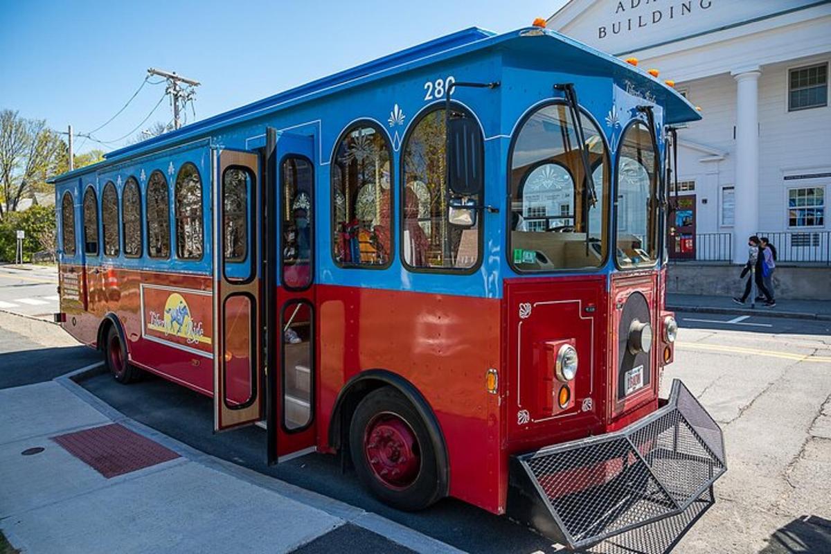 červenomodrý tramvaj zaparkovaný na ulici