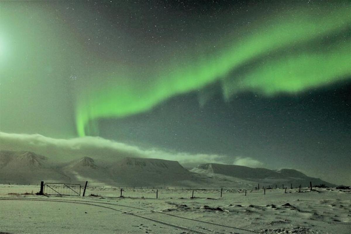 aurora menari di langit di atas padang bersalji