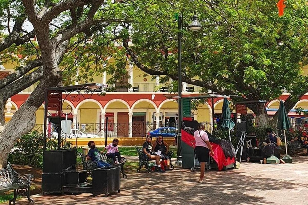a group of people sitting in a park under a tree