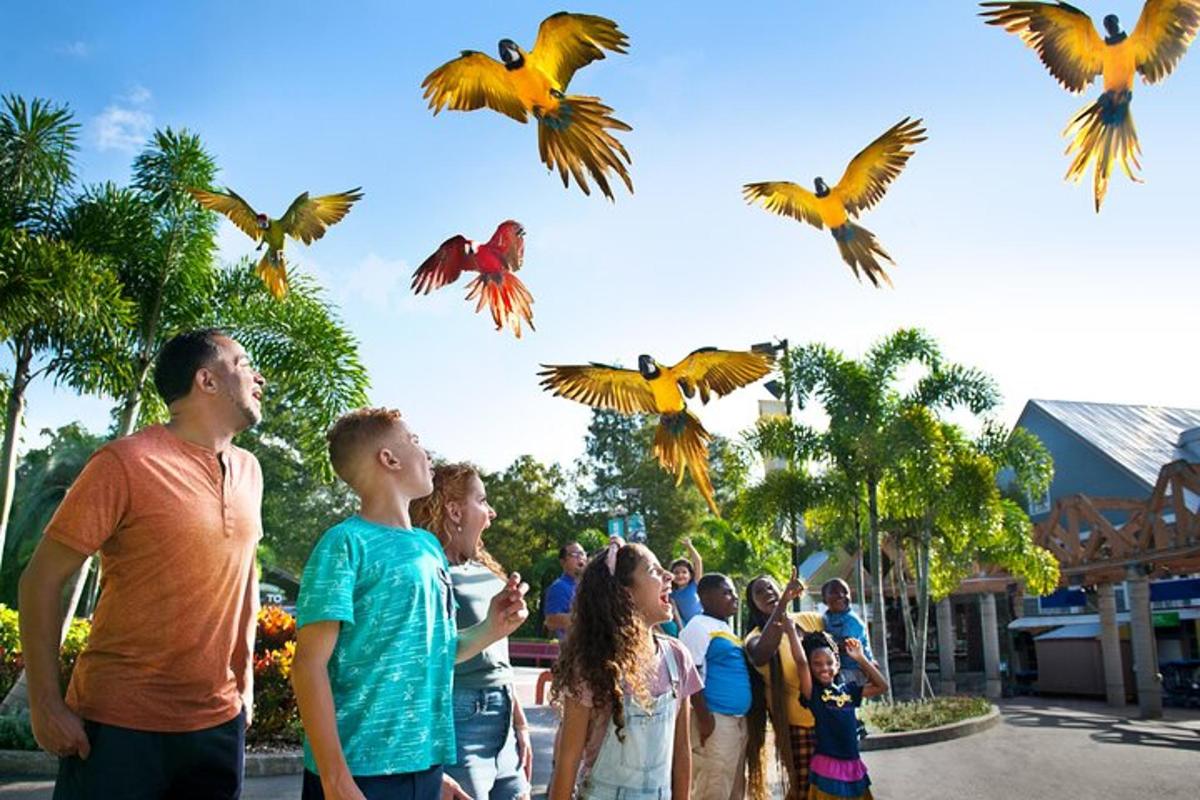 a group of people watching birds fly in the air