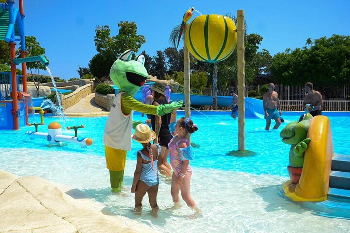 a group of children playing in a water park