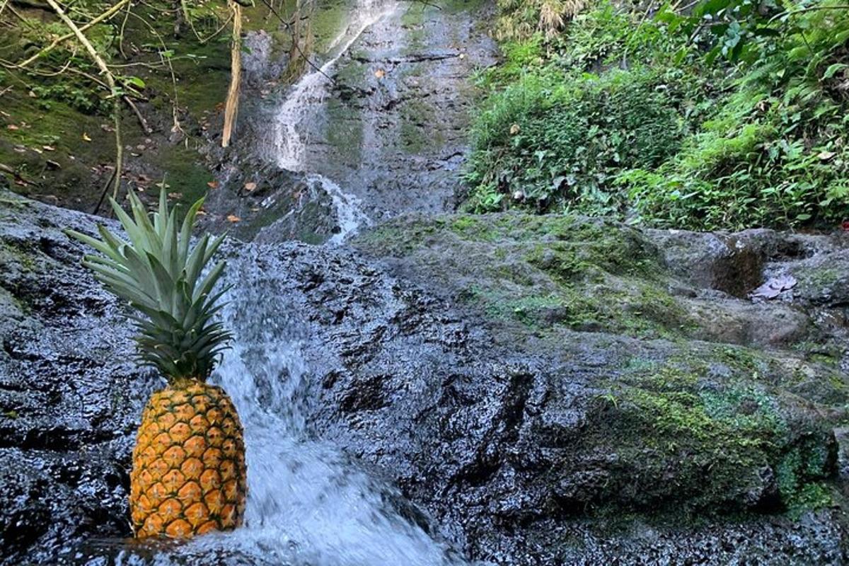 ananas sjedi ispred vodopada