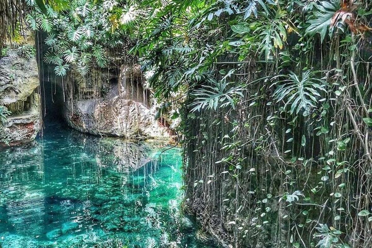 kolam air hijau zamrud di hutan