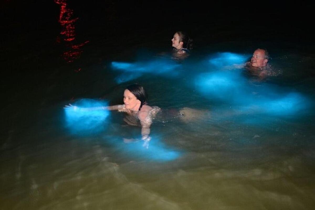 tiga orang berenang di dalam air pada waktu malam