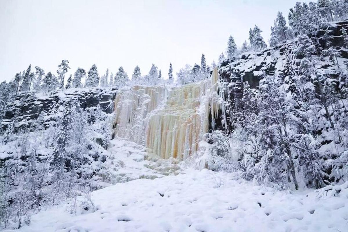 a waterfall covered in snow with trees in the background