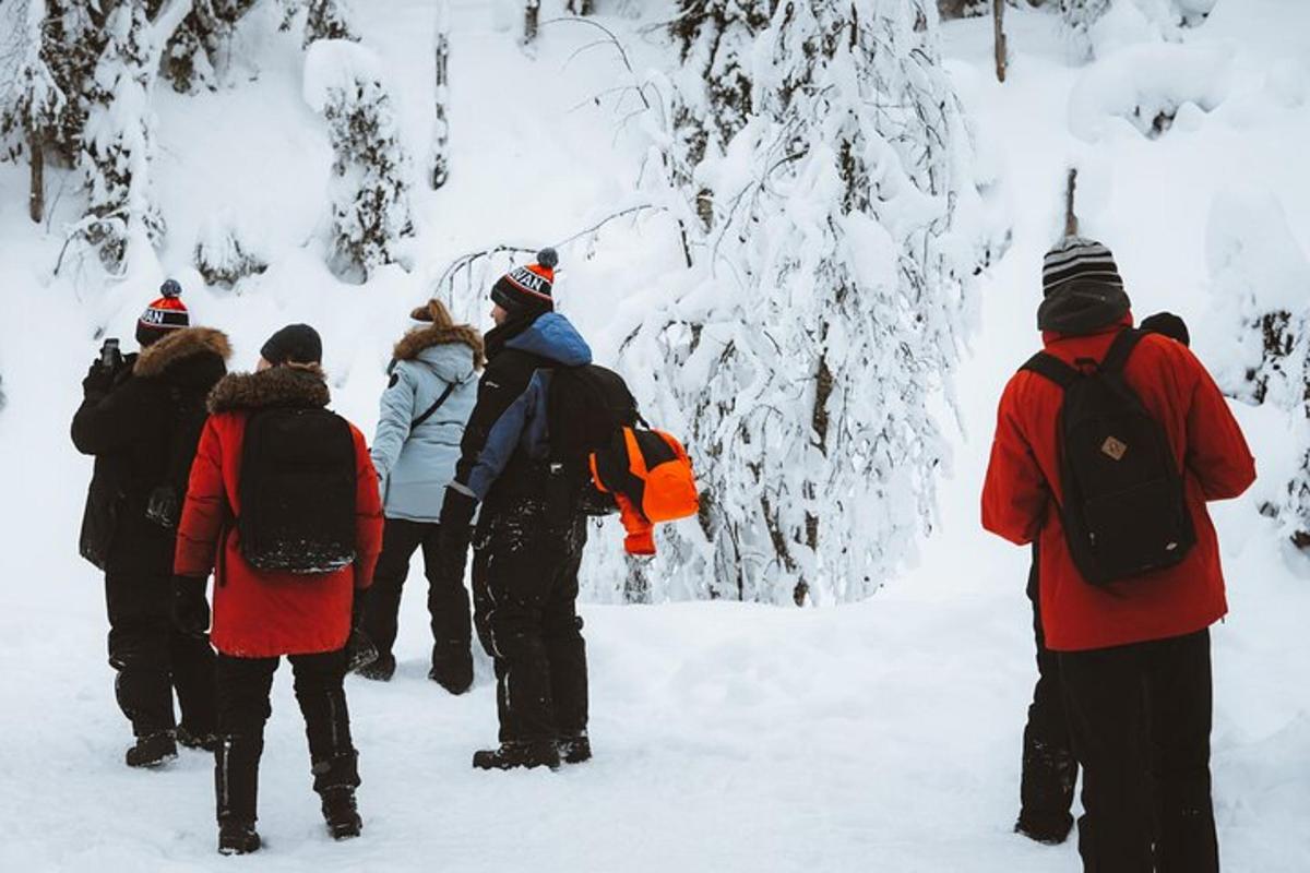 a group of people walking in the snow