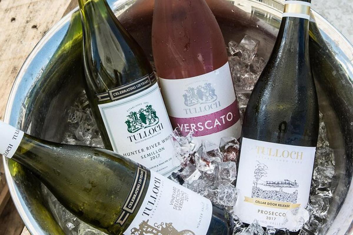two bottles of wine in a bucket of ice