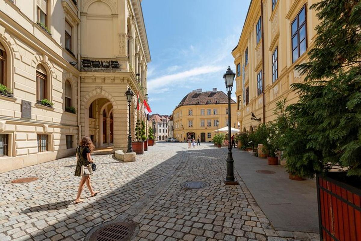 žena kráčející po ulici ve městě