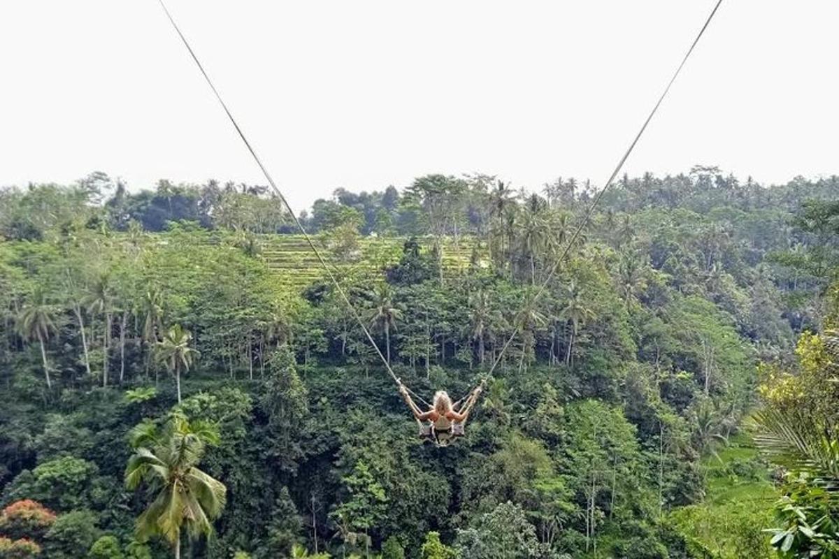 a person swinging on a zip line in the jungle