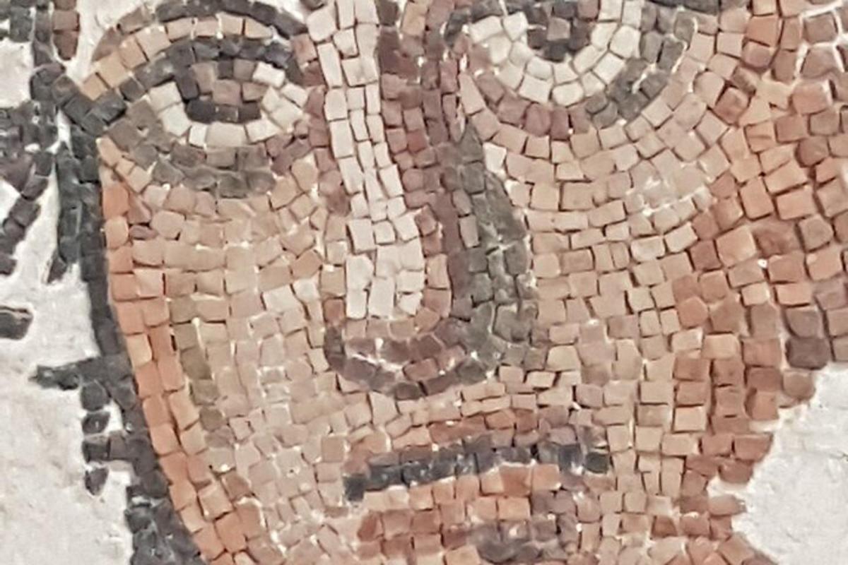 un primo piano di un mosaico di un water