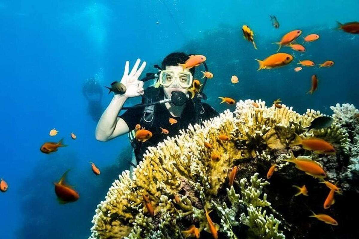 uma pessoa no oceano com uma câmera e um peixe