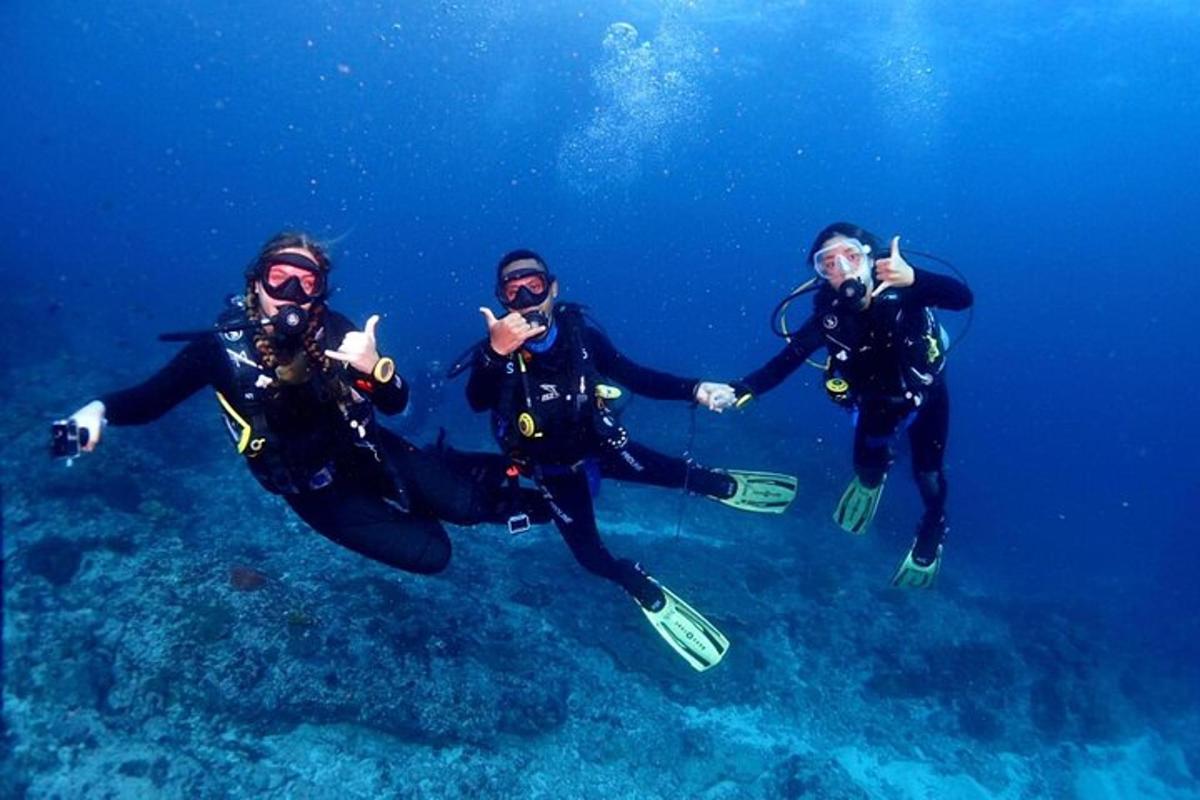 a group of three people swimming in the water