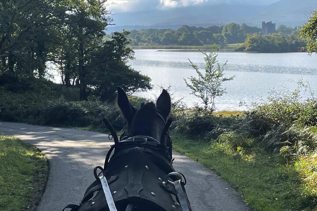 a person riding a horse on a path next to a lake