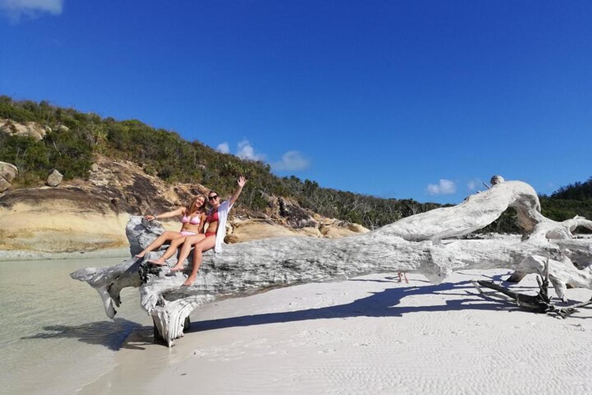 dua gadis duduk di dahan pohon di pantai