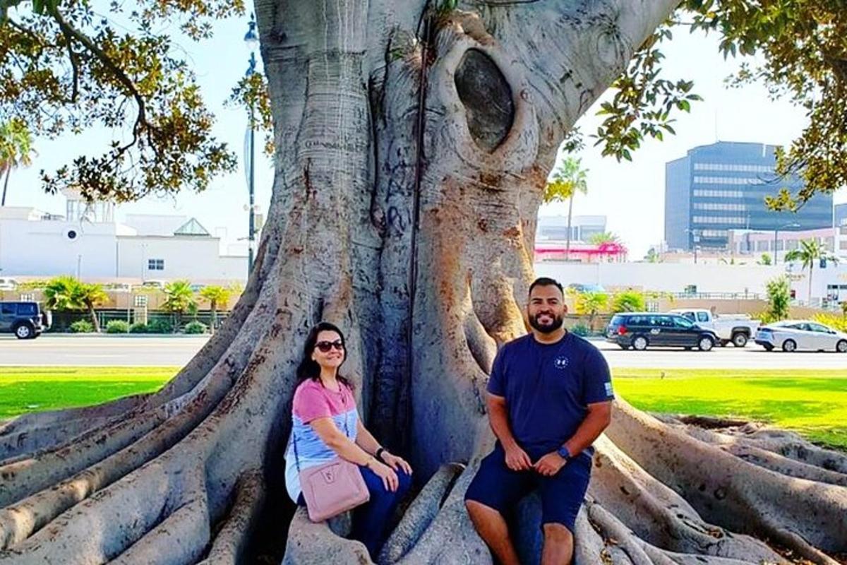 un home i una dona asseguts al costat d'un arbre