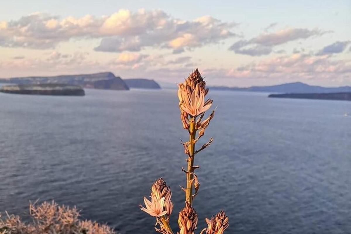 a plant in front of a body of water