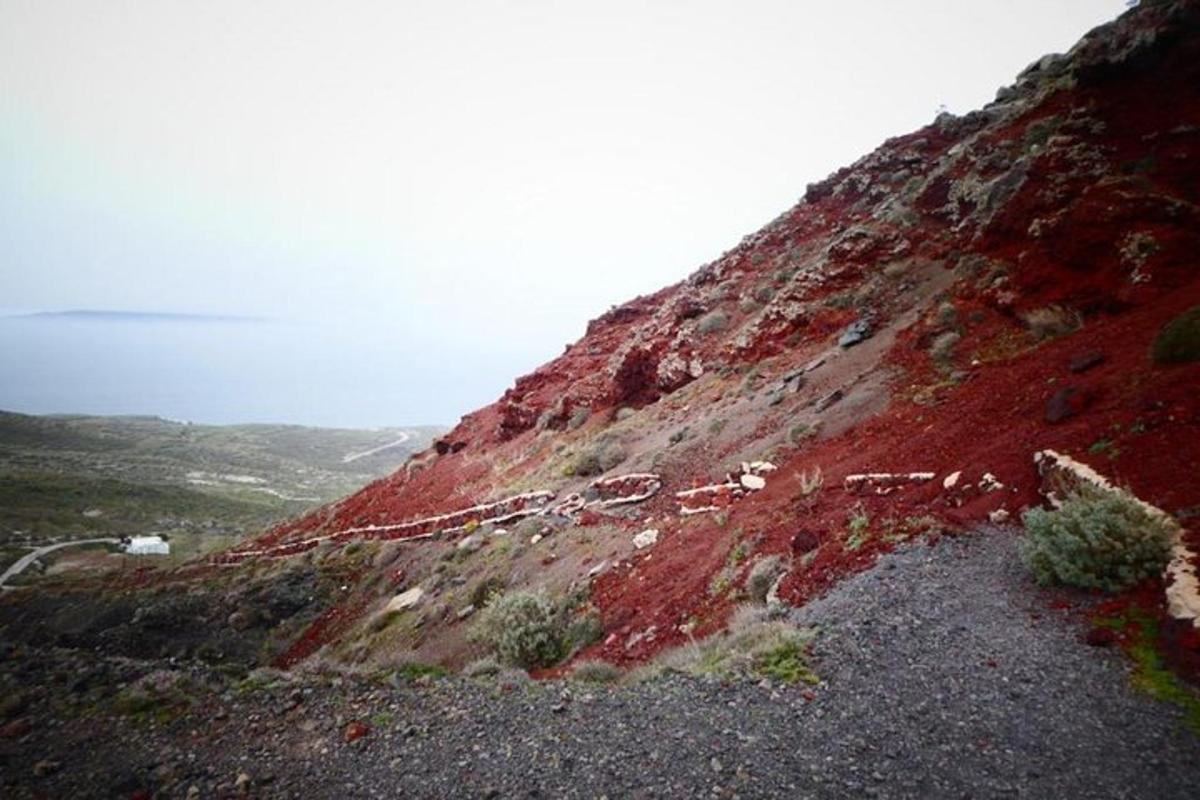 hópur dýra á fjallshlíð
