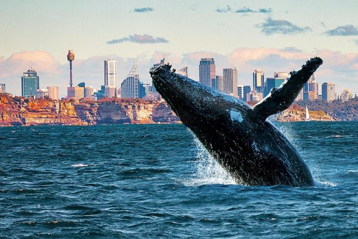 una balena nell'acqua con una città sullo sfondo