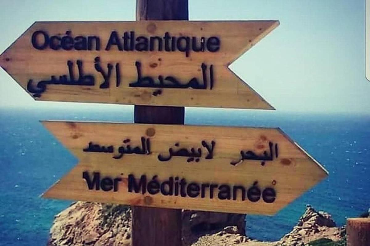 Δύο ξύλινες πινακίδες σε έναν στύλο με τις λέξεις oasternatlantic και wet medicinearma