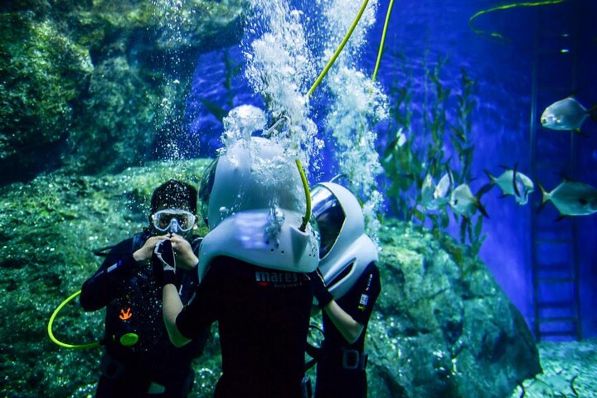 dues persones fent una foto d'un aquari