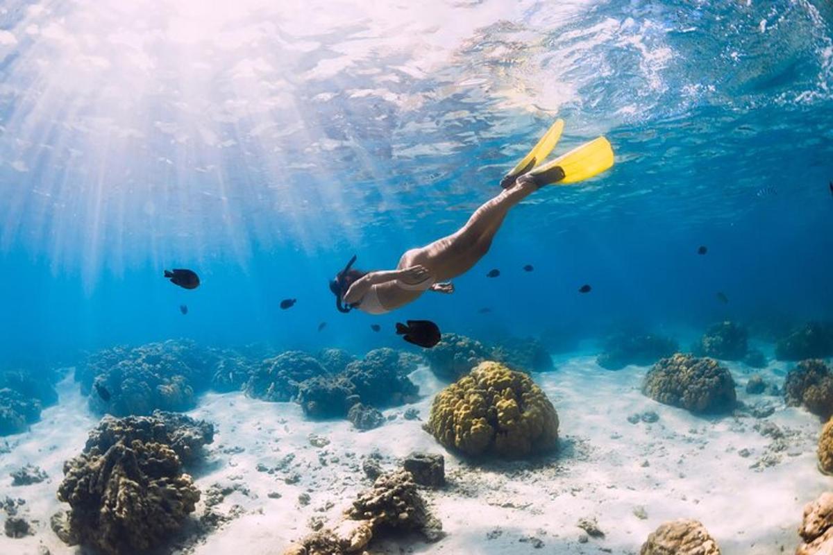 un home nedant a l'oceà amb un frisbee