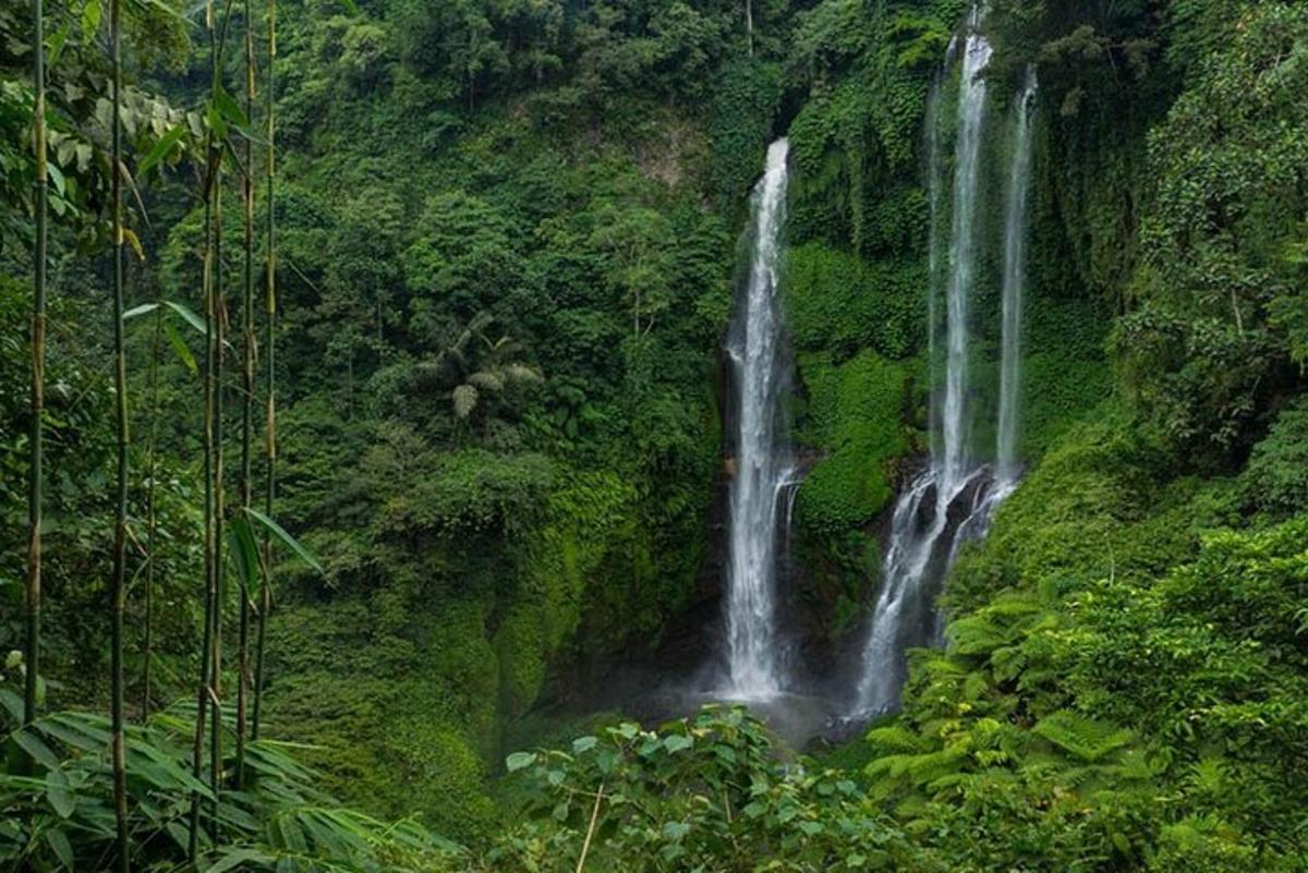 vodopád uprostřed bujného zeleného lesa