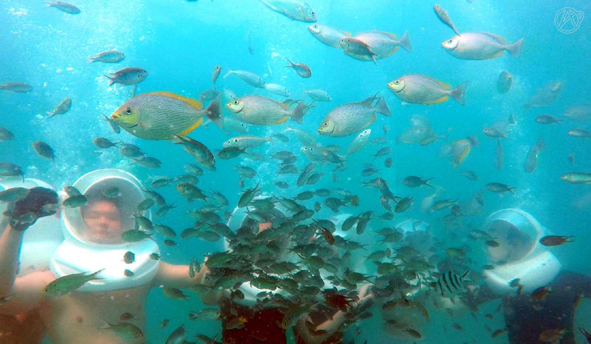 a man in an aquarium with a lot of fish