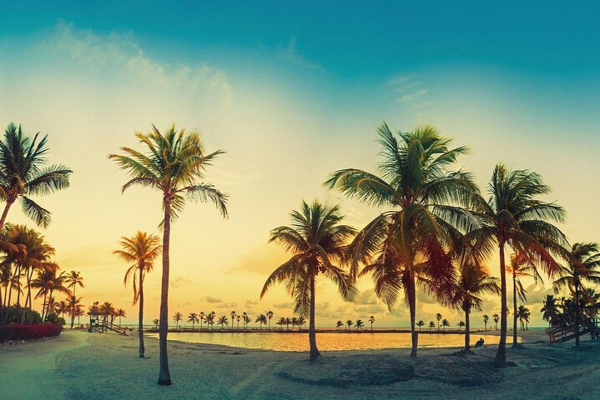 Skupina palm na plaži ob sončnem zahodu