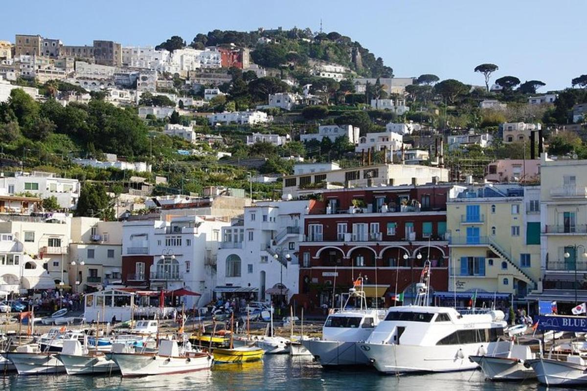 μια ομάδα σκαφών είναι αγκυροβολημένη σε ένα λιμάνι