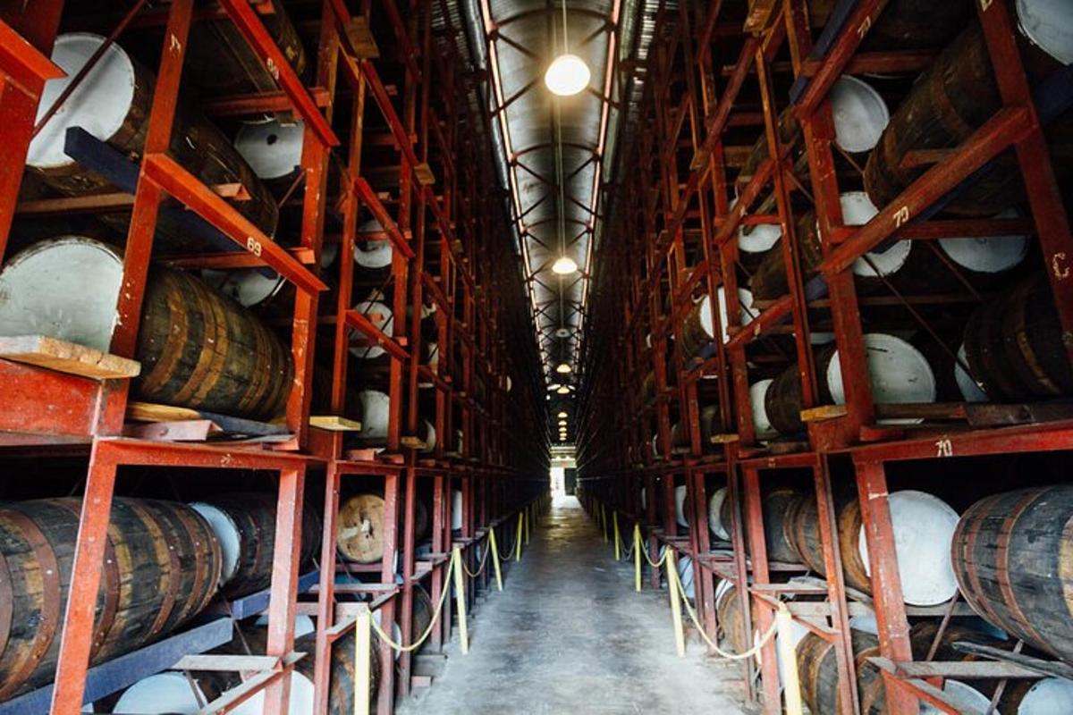 ένα δωμάτιο γεμάτο με πολλά βαρέλια κρασιού