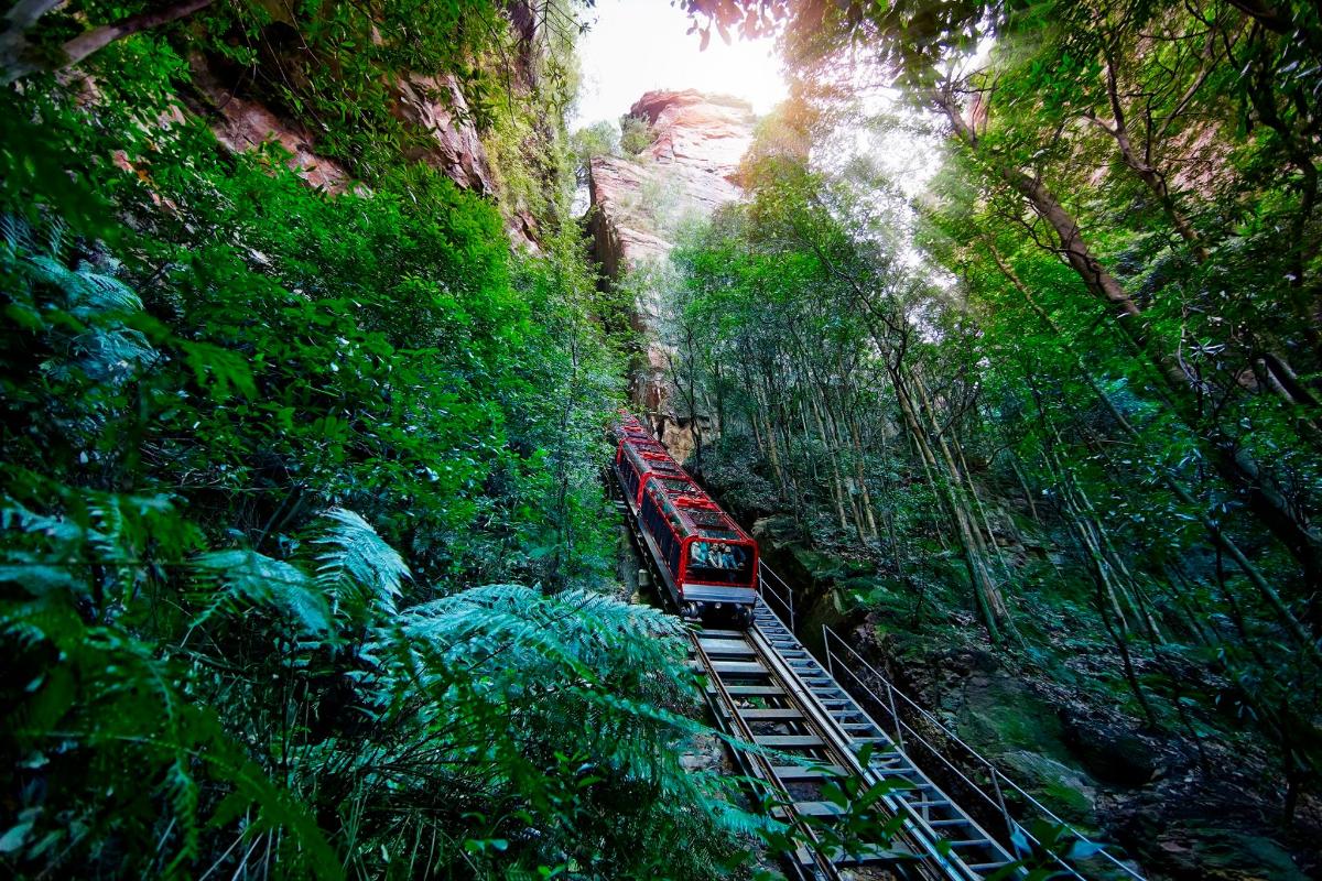 a train is going through a tunnel in the jungle