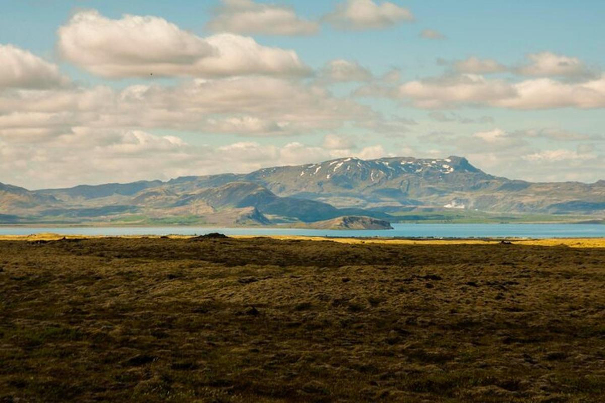 un campo con un lago e montagne sullo sfondo