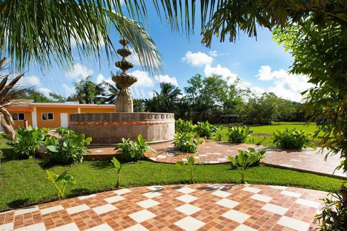 un jardí amb una font al mig d'un parc