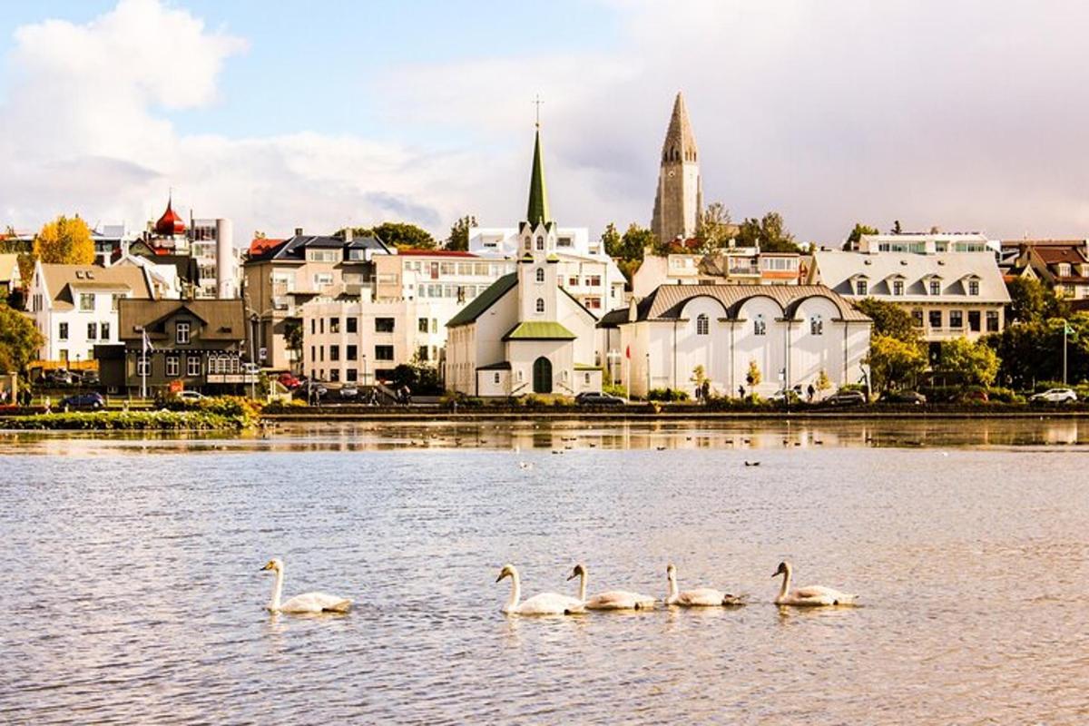 luikede rühm vees linna ees