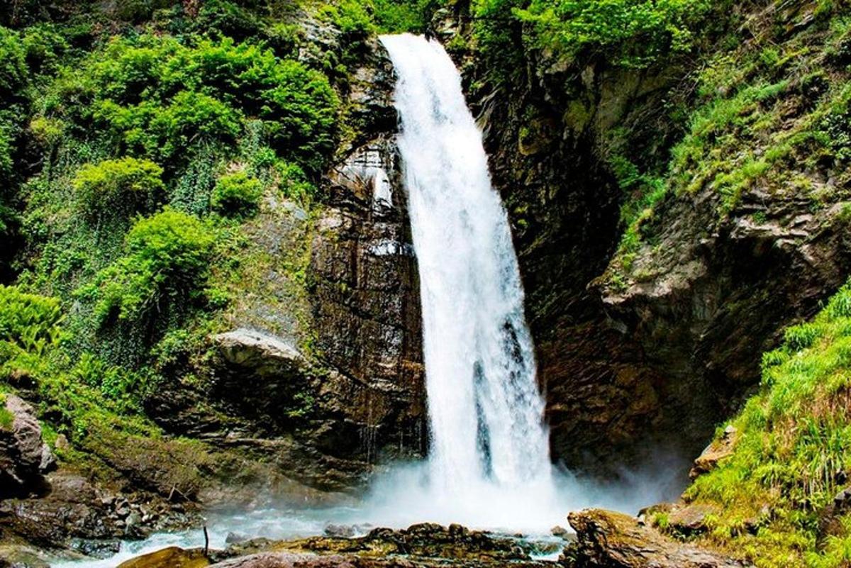 una cascada al mig d'un bosc