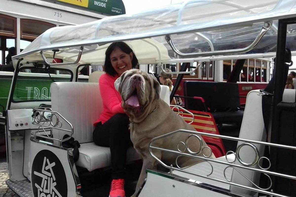 žena sedící v zadní části autobusu se psem