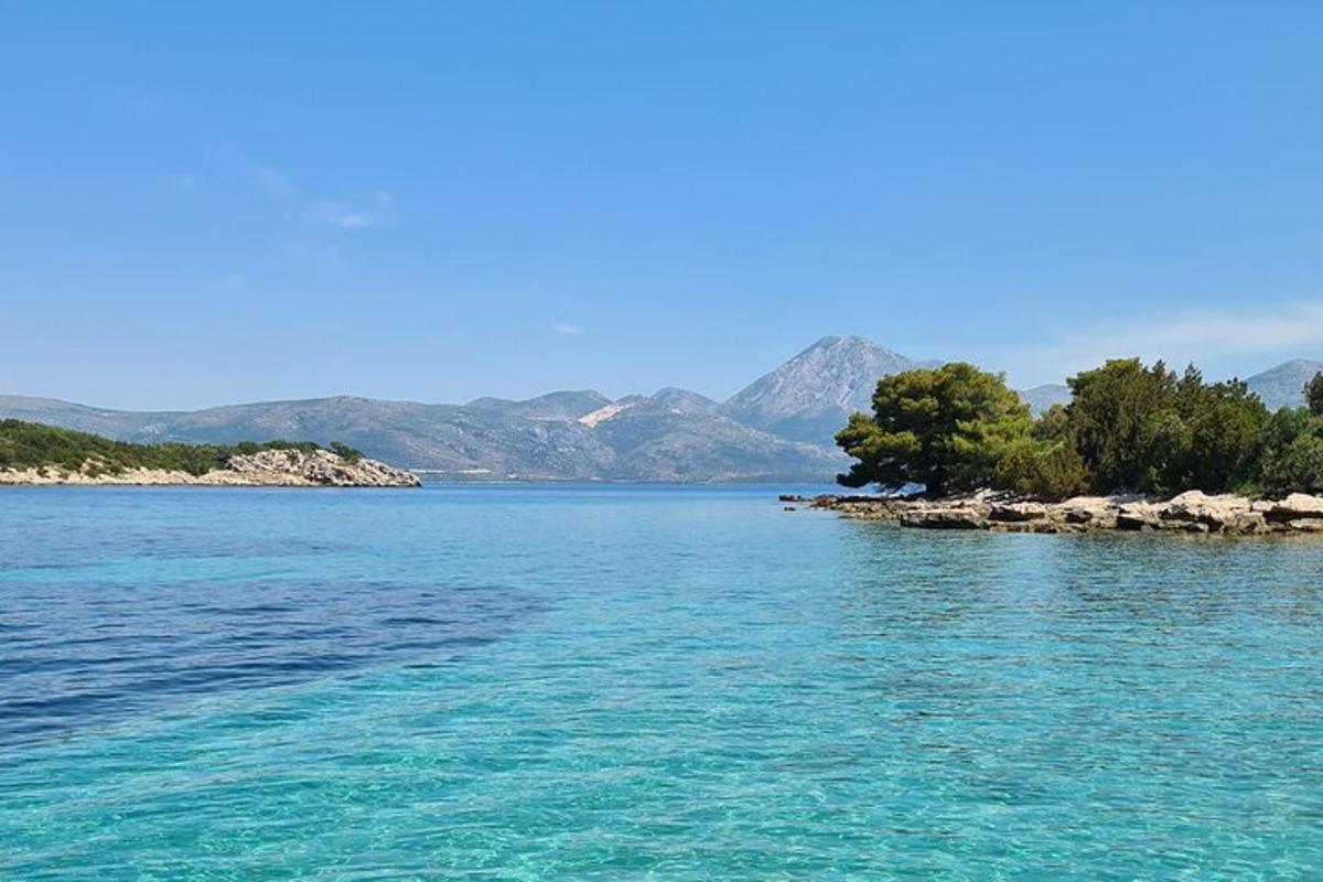 un grande specchio d'acqua con alberi e montagne