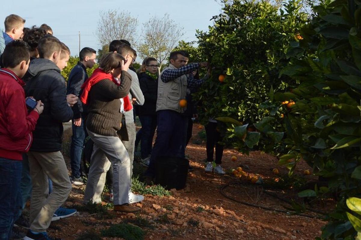 Un grupo de personas de pie alrededor de un naranjo.